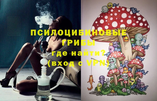 дурь Алексин