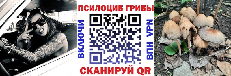 купить наркотики сайты  Среднеколымск  Галлюциногенные грибы мицелий 